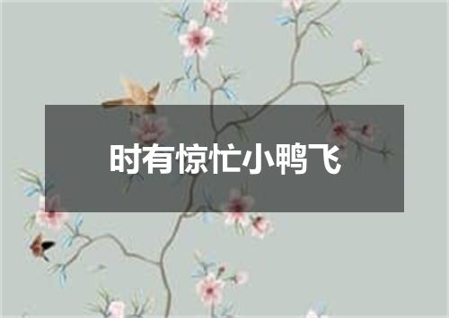 时有惊忙小鸭飞