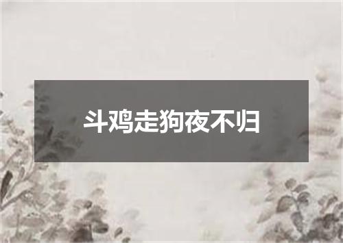 斗鸡走狗夜不归