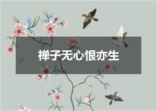 禅子无心恨亦生