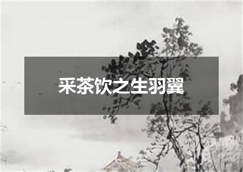 采茶饮之生羽翼