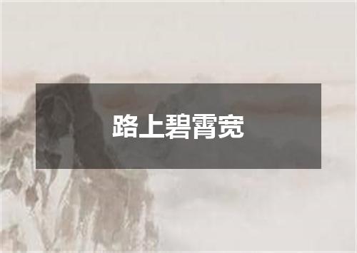 路上碧霄宽