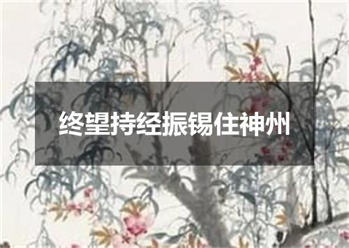终望持经振锡住神州