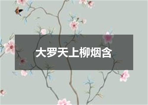 大罗天上柳烟含