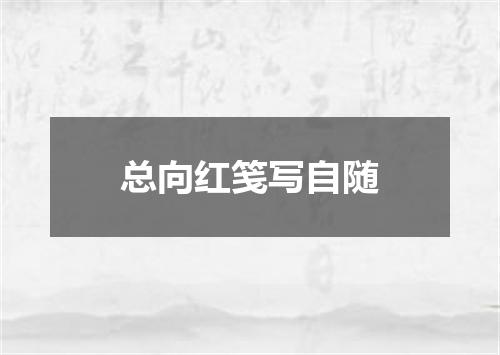 总向红笺写自随