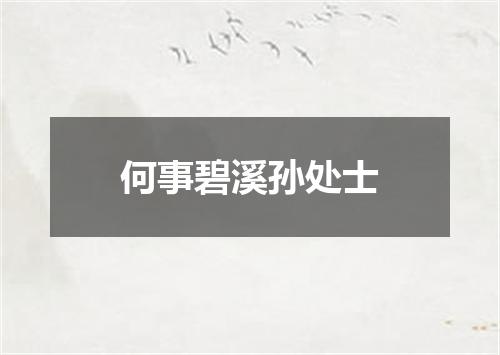 何事碧溪孙处士