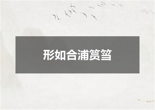 形如合浦筼筜