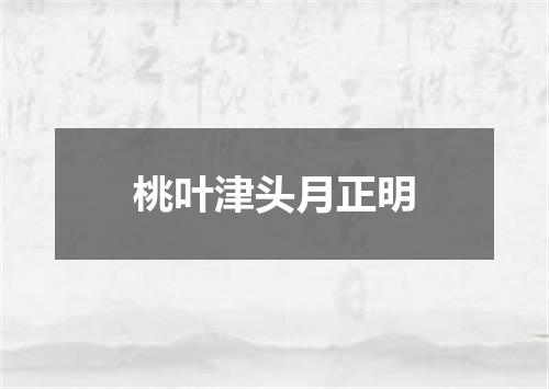 桃叶津头月正明