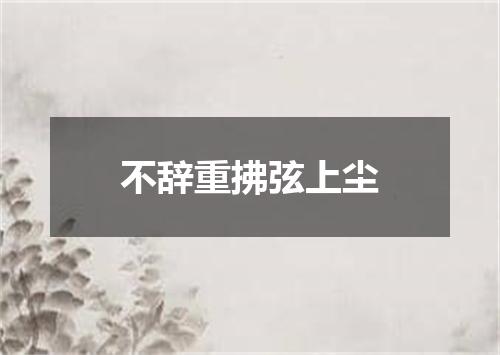 不辞重拂弦上尘