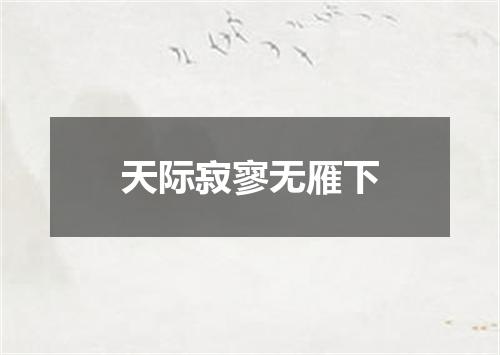 天际寂寥无雁下