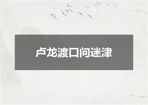 卢龙渡口问迷津