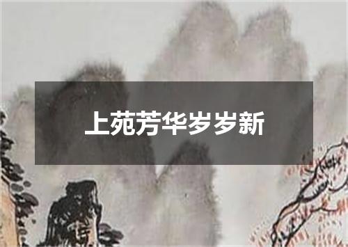 上苑芳华岁岁新