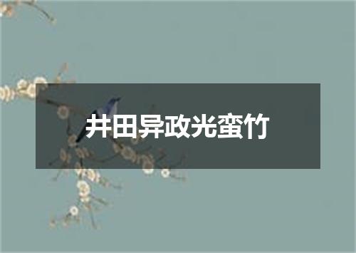 井田异政光蛮竹