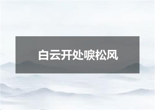 白云开处唳松风