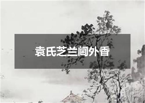 袁氏芝兰阃外香