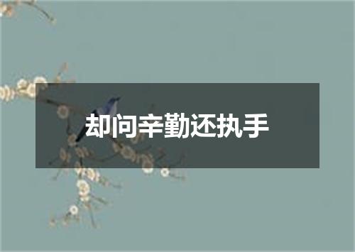 却问辛勤还执手