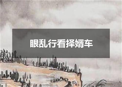 眼乱行看择婿车