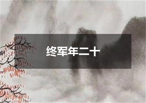 终军年二十