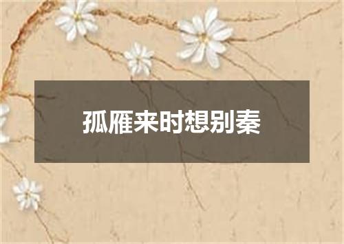 孤雁来时想别秦