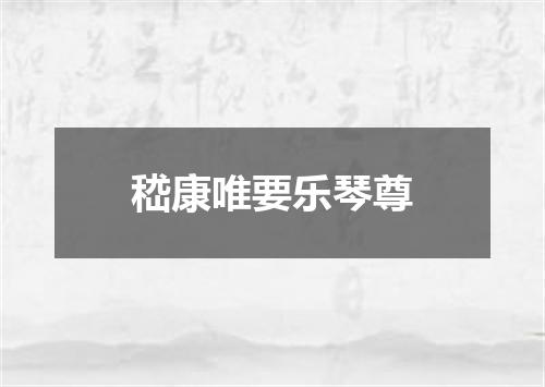 嵇康唯要乐琴尊