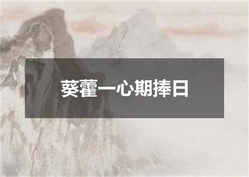 葵藿一心期捧日