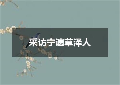 采访宁遗草泽人