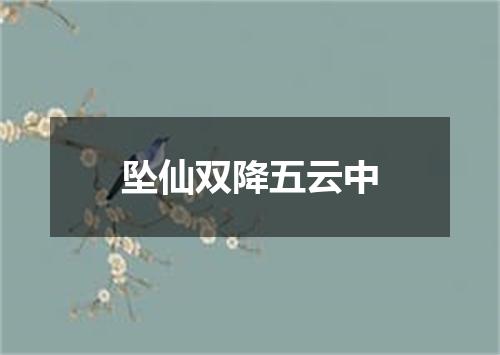 坠仙双降五云中