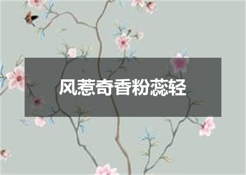 风惹奇香粉蕊轻