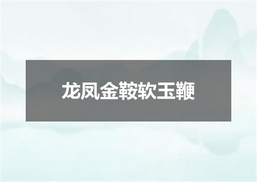 龙凤金鞍软玉鞭