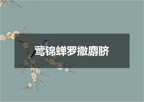 莺锦蝉罗撒麝脐