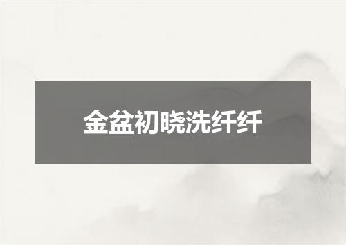金盆初晓洗纤纤
