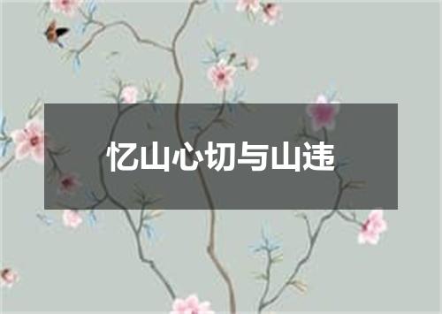 忆山心切与山违