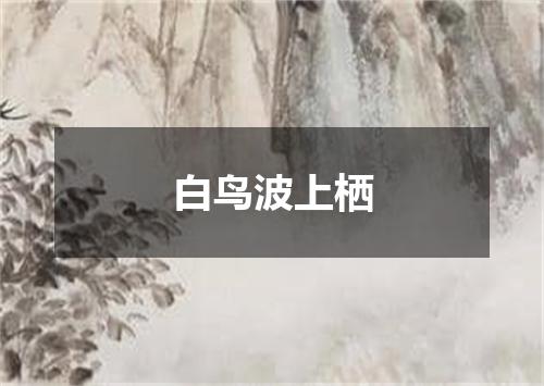 白鸟波上栖