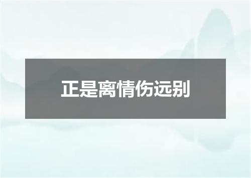 正是离情伤远别