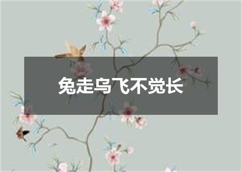 兔走乌飞不觉长