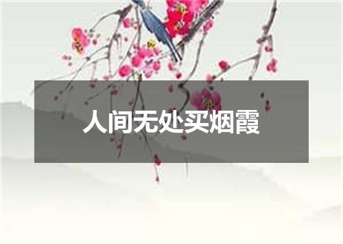 人间无处买烟霞