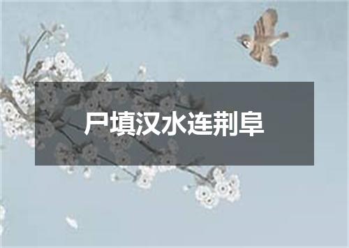 尸填汉水连荆阜