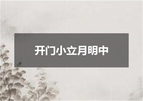 开门小立月明中