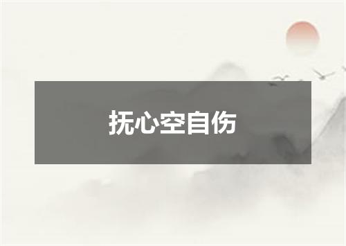 抚心空自伤