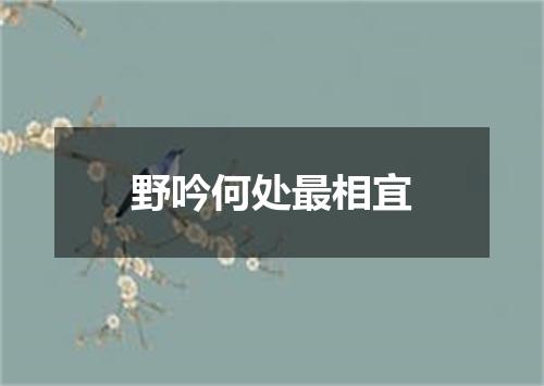 野吟何处最相宜