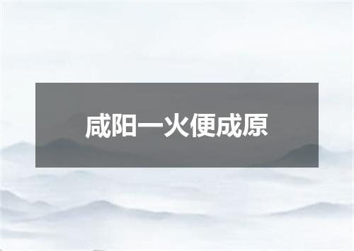 咸阳一火便成原