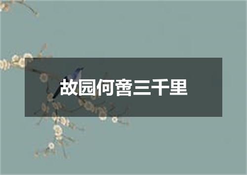 故园何啻三千里