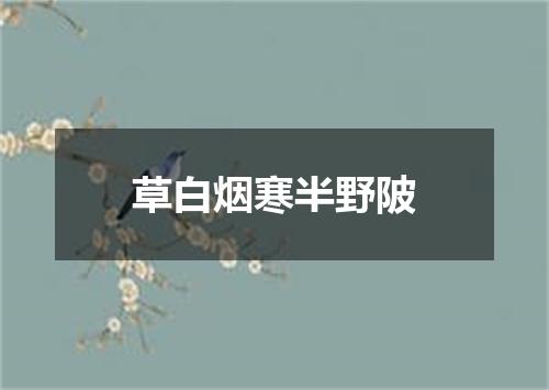 草白烟寒半野陂