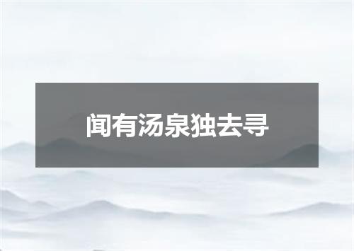 闻有汤泉独去寻
