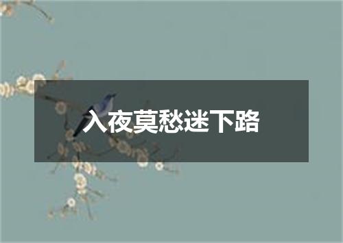 入夜莫愁迷下路