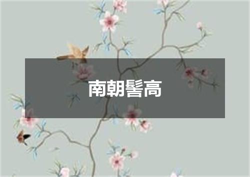 南朝髻高