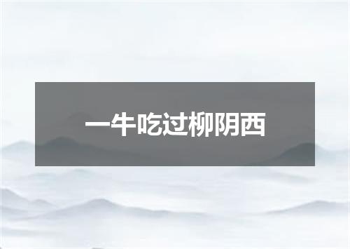 一牛吃过柳阴西