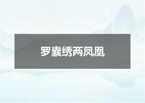 罗囊绣两凤凰