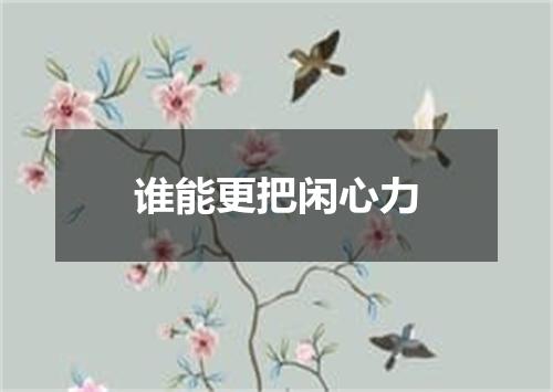 谁能更把闲心力