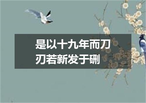 是以十九年而刀刃若新发于硎