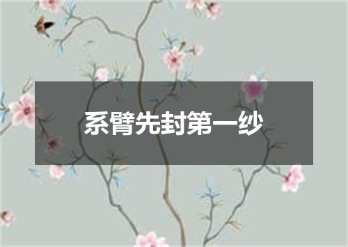 系臂先封第一纱